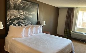 Super 8 By Wyndham Colorado Springs Airport Motel 3* United States Of America